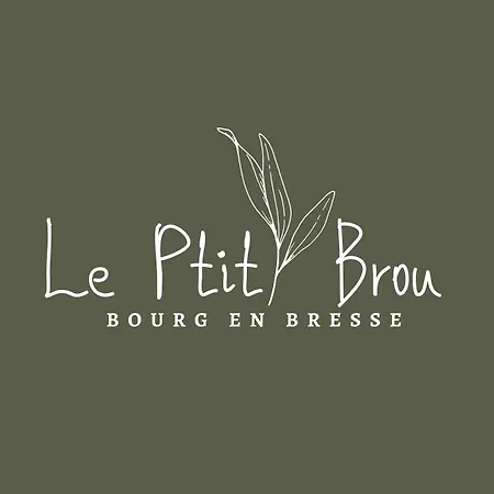 Διαμέρισμα Le Ptit Brou - En Bresse *