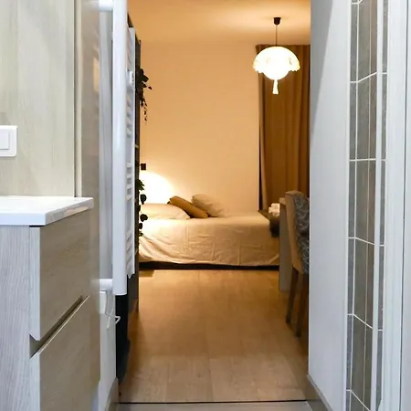 Le Ptit Brou - En Bresse Apartament Bourg-en-Bresse