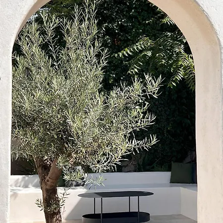 Le Ptit Brou - En Bresse Bourg-en-Bresse