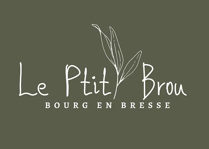 Appartamento Le Ptit Brou - En Bresse *